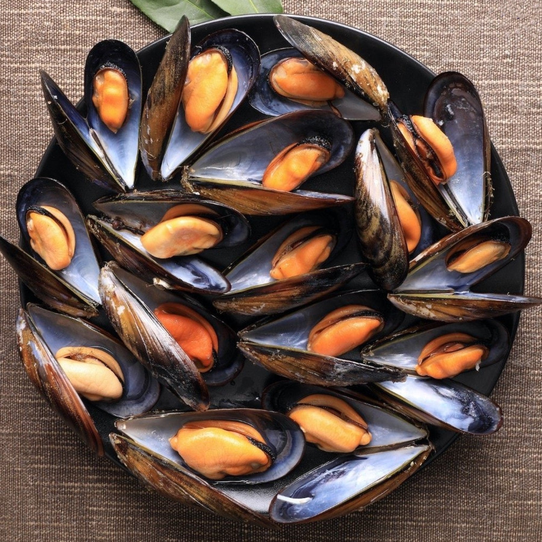 Blue Mussels Whole Shell (1kg) - Blue Mussels Singapore | Oceanwaves SG