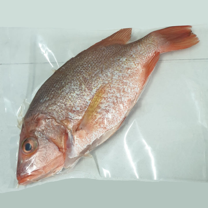 Red Snapper Ikan Merah Whole Fish Singapore Online Fresh Seafood Delivery
