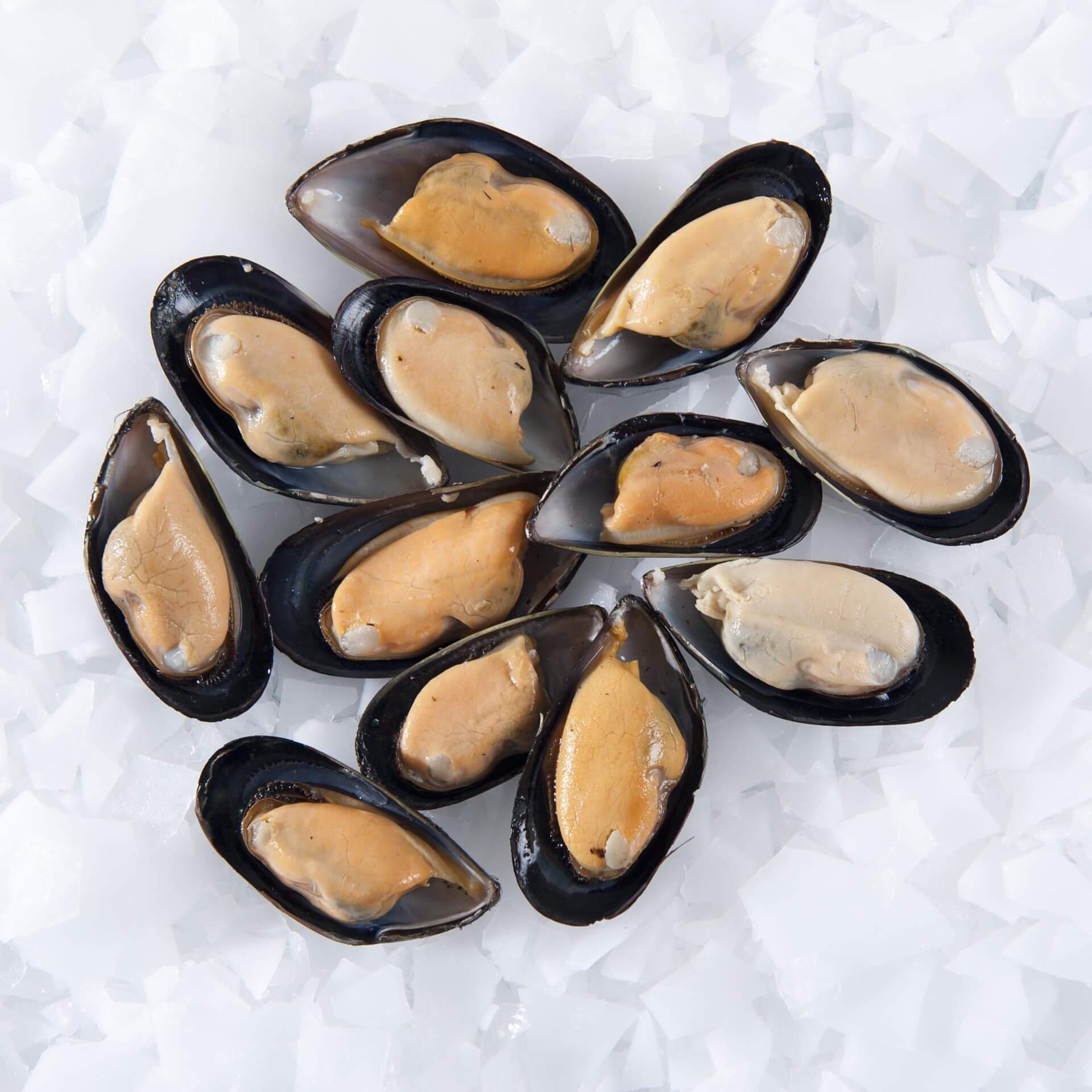 Blue Mussels Whole Shell (1kg) - Blue Mussels Singapore | Oceanwaves SG