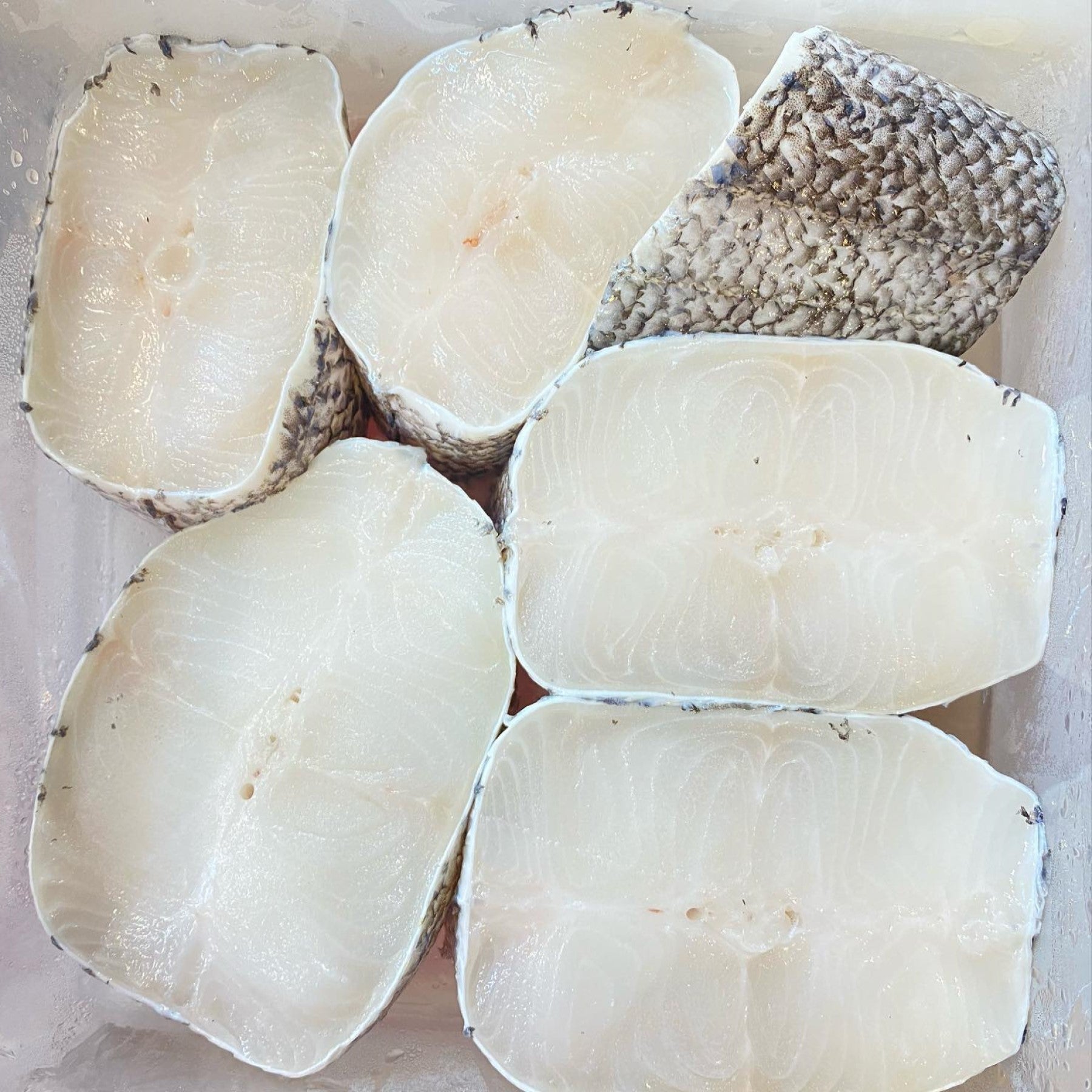 Buy Fresh Cod Fish Steak (Chilean Seabass) | Oceanwaves SG