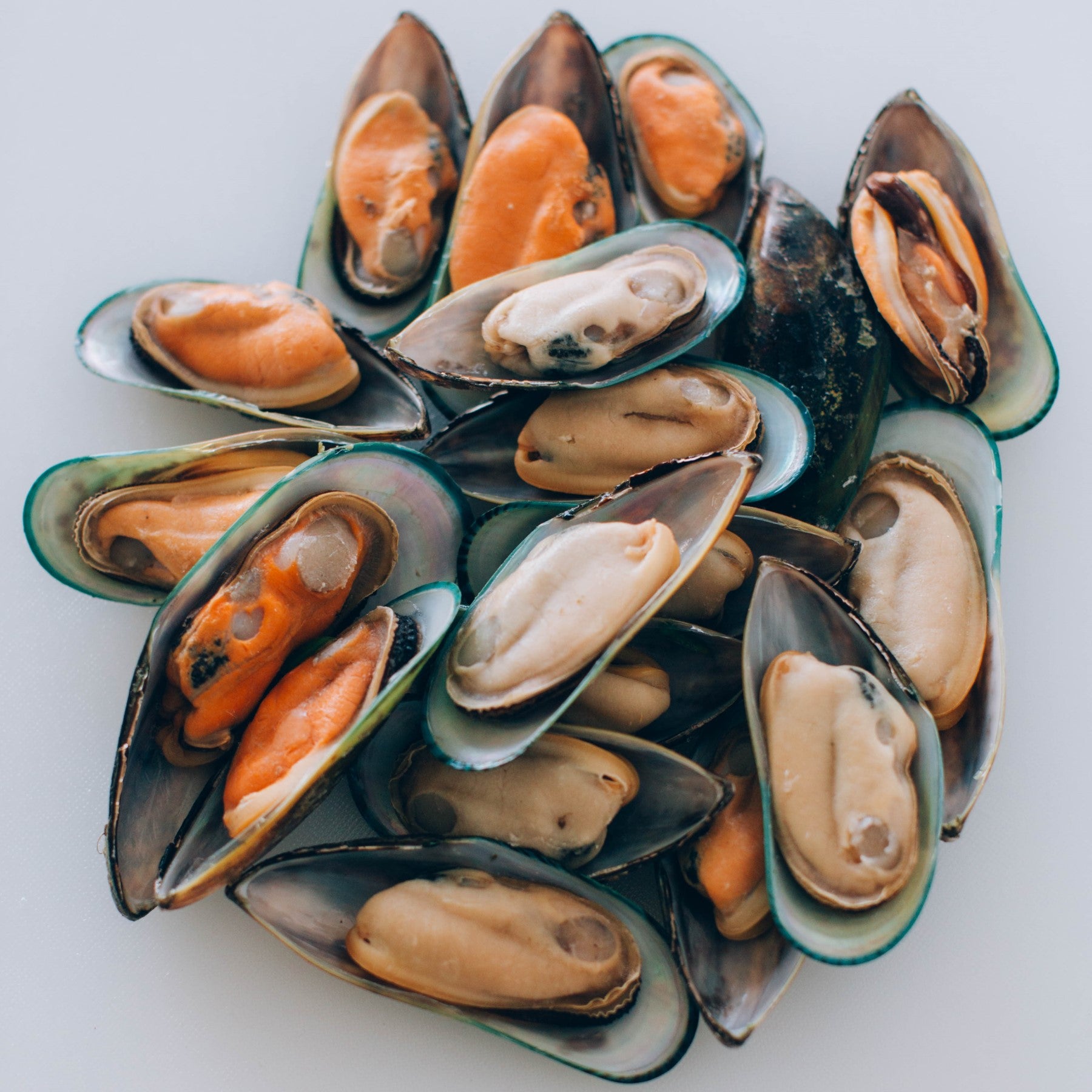 Green Mussels GREEN HALF SHELL MUSSELS – Jack Hook Seafood