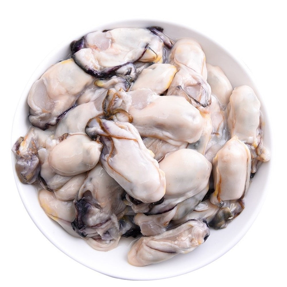Frozen Oyster Meat Singapore Large Size