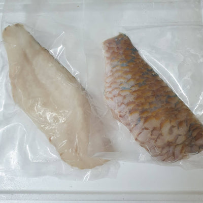 Frozen Parrot Fish Fillet Skin On