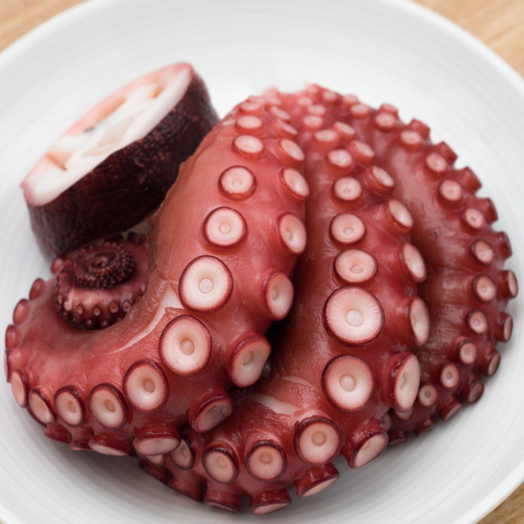 Tako Octopus Leg Sashimi Grade Singapore