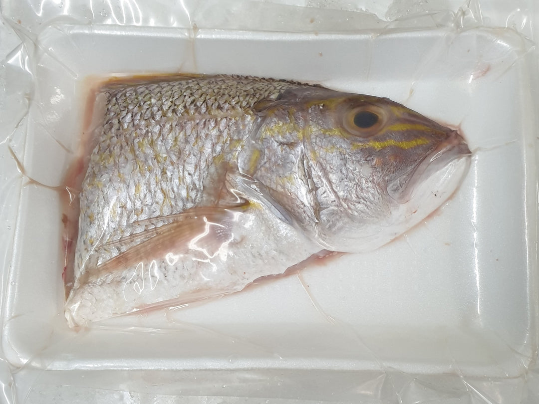 Large, Fresh Ang Go Li Fish Head (1.2kg–1.4kg) | Oceanwaves SG