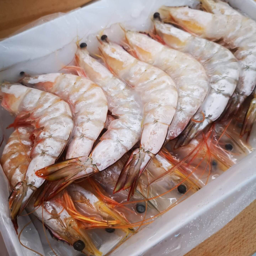 Frozen Ang Kar Prawn / Red Leg Prawn - online fresh prawn delivery singapore wild sea prawns 红脚虾