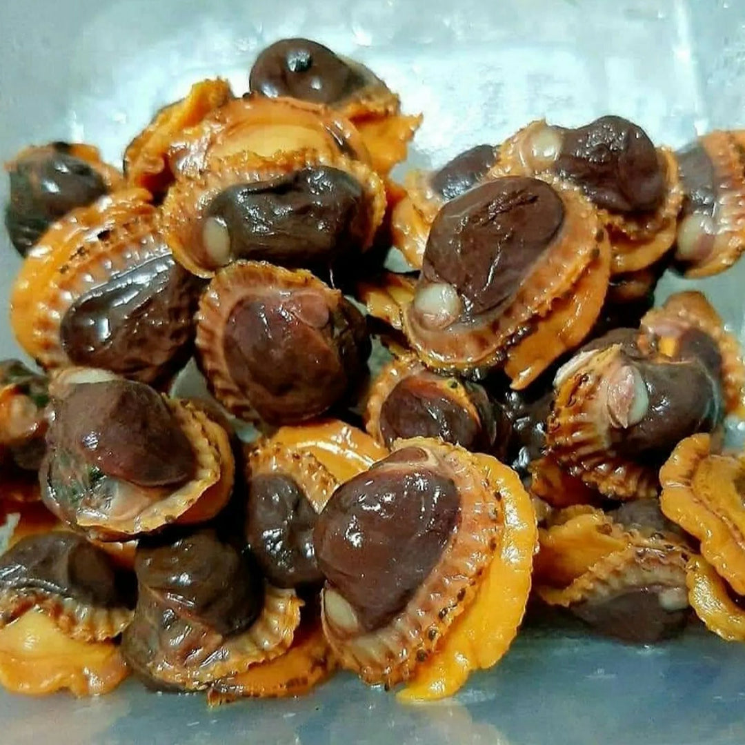 frozen boiled cockles meat