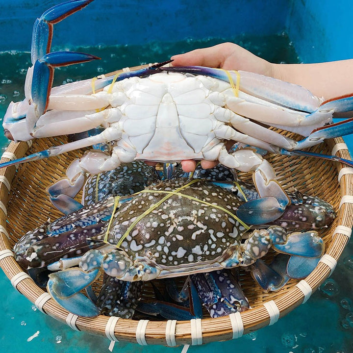 Fresh Flower Crab Delivery Singapore Live Blue Crab