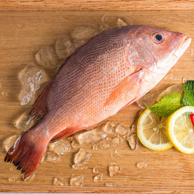 Fresh Red Snapper Whole Fish Singapore Seafood Delivery