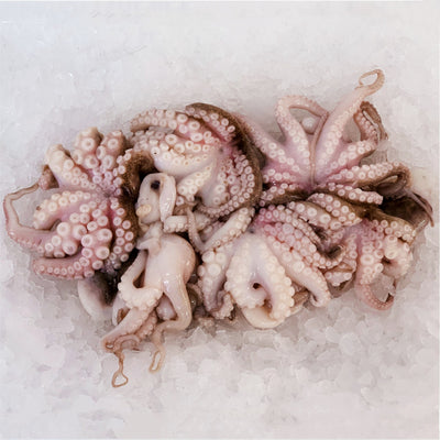 frozen baby octopus whole