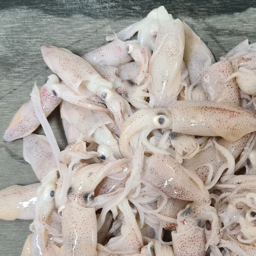 Frozen Baby Squid Whole