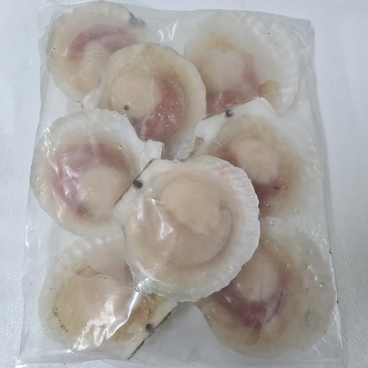 Frozen Jumbo Half Shell Scallop With Roe Singapore