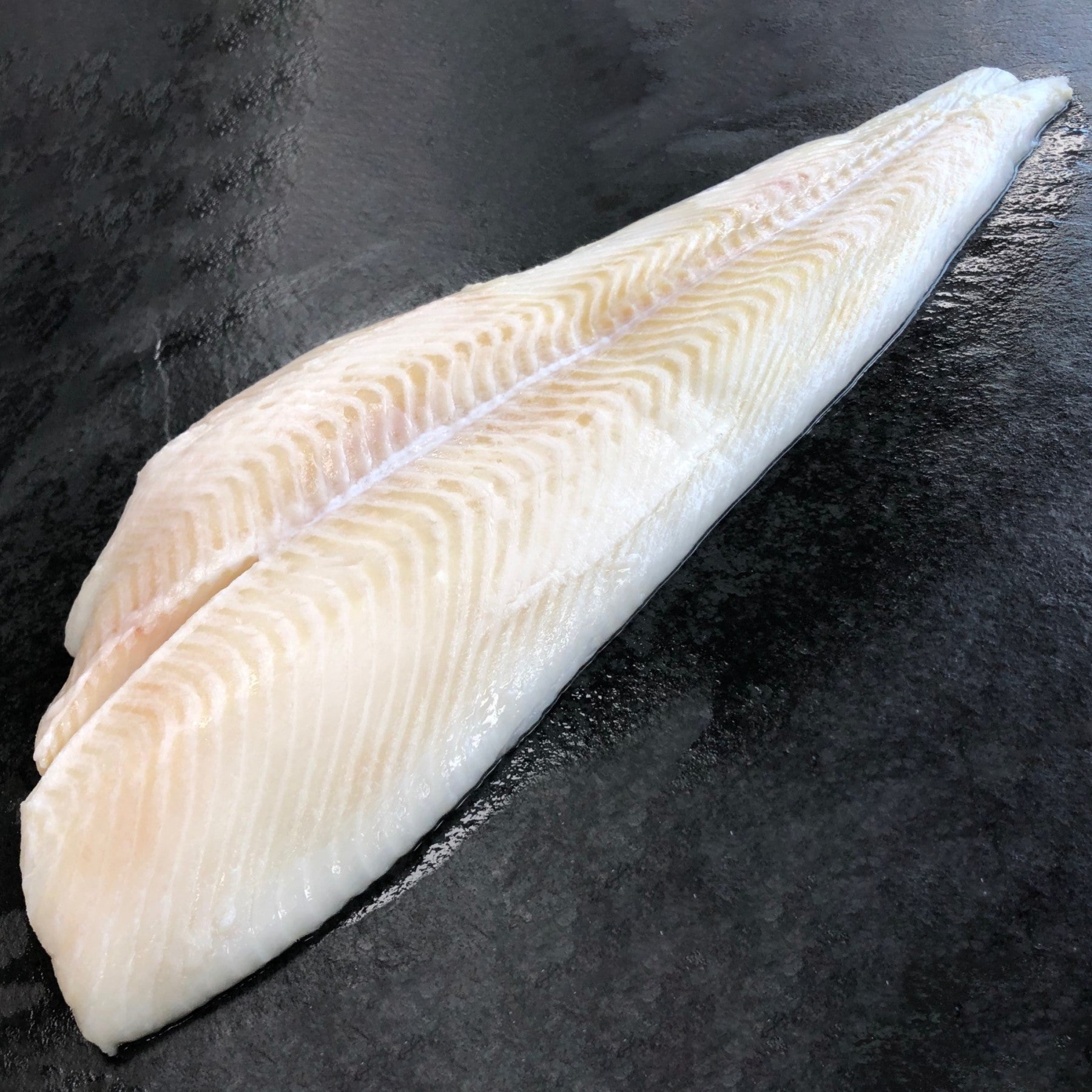 Frozen Greenland Halibut Fillet Skinless (621659gm) Singapore