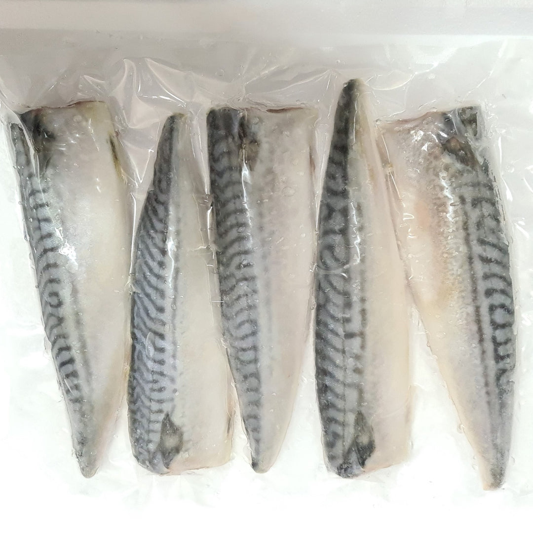 saba mackerel fillet frozen fish singapore